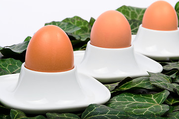Image showing A series of three eggs and egg cups on a green background