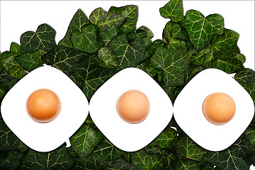Image showing A series of three eggs and egg cups on a green background
