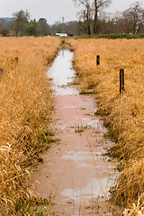 Image showing Small Canal, Brownsmead, Oregon