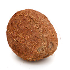 Image showing Fresh whole coconut