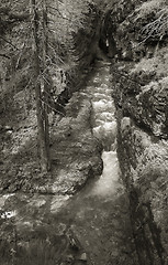 Image showing Stream,  Glacier National Park