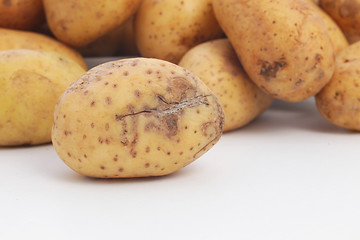 Image showing Potato damaged during harvesting