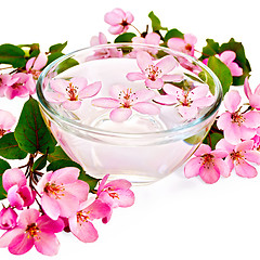 Image showing Apple pink blossom in a cup of water