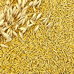 Image showing Texture from oat grains with stalks