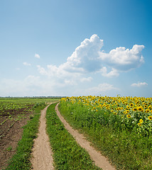 Image showing Road in field under clouds
