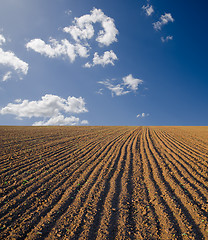 Image showing black field