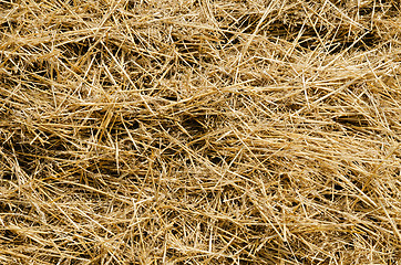 Image showing straw closeup as background