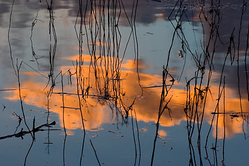 Image showing Water Abstract 14