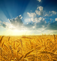 Image showing field with sunset