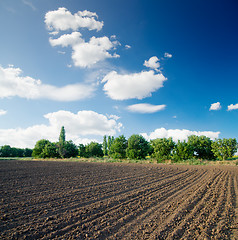 Image showing ploughed field