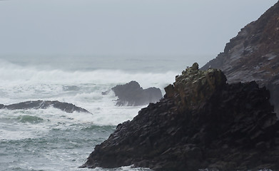 Image showing Indian Beach, Winter 2