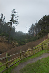 Image showing Trail to Indian Beach, Winter