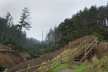 Image showing Path to Indian Beach, Winter 2