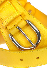 Image showing Yellow belt on a white background