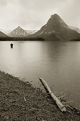 Image showing Fly Fisherman, Glacier National Park