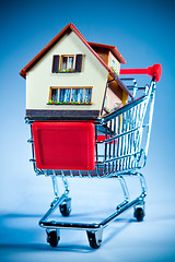 Image showing shopping cart and house