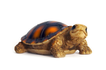 Image showing tortoise