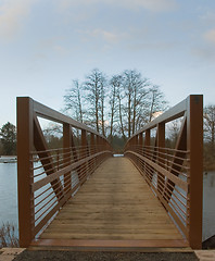 Image showing Walking Bridge 3