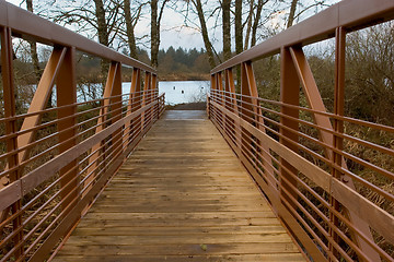 Image showing Walking Bridge