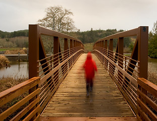 Image showing Walking Bridge 6
