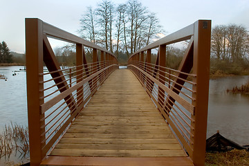 Image showing Walking Bridge 4