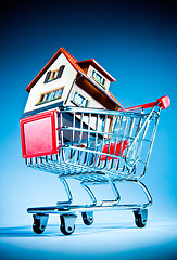 Image showing shopping cart and house