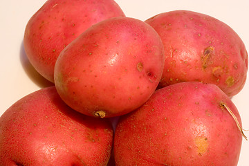 Image showing Five Red Potatoes