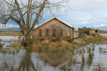 Image showing Flood, Svensen Island 3