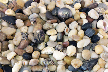 Image showing Sea Pebble