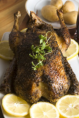 Image showing Roast duck