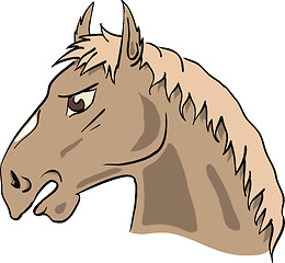 Image showing horse's head