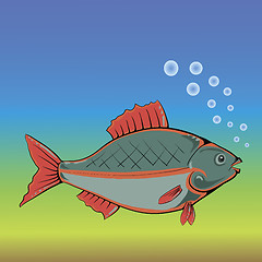 Image showing fish