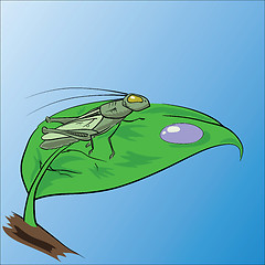 Image showing grasshopper