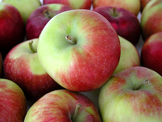 Image showing apples