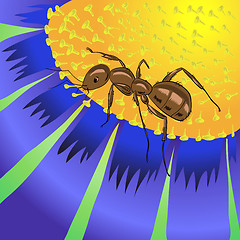 Image showing ant and flower