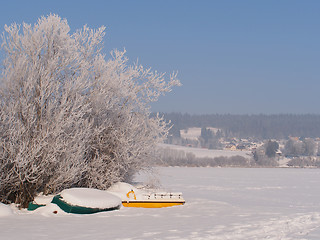 Image showing Frozen boats and tree, Saint Point lake, Jura, France