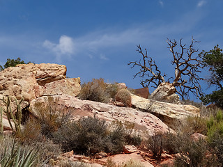 Image showing Hike through Red Rock Canyon