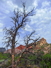 Image showing Hike through Red Rock Canyon