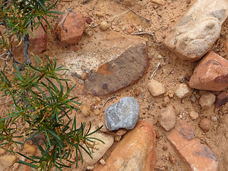 Image showing Hike through Red Rock Canyon