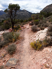 Image showing Hike through Red Rock Canyon