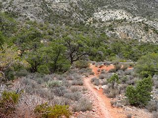 Image showing Hike through Red Rock Canyon