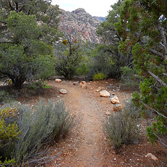 Image showing Hike through Red Rock Canyon