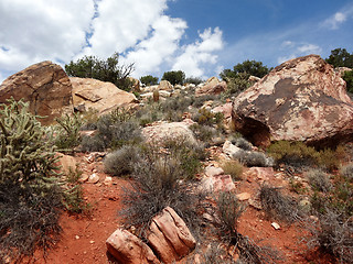 Image showing Hike through Red Rock Canyon