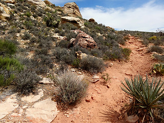 Image showing Hike through Red Rock Canyon