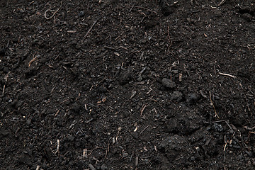 Image showing dark soil 