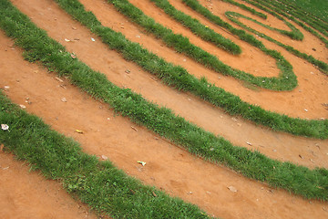 Image showing grass labyrinth