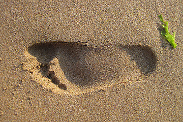 Image showing foot print in the sand