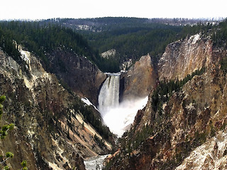 Image showing Yellowstone Falls