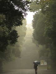 Image showing Mist