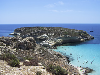 Image showing Island of rabbits, in Lampedusa - Sicily